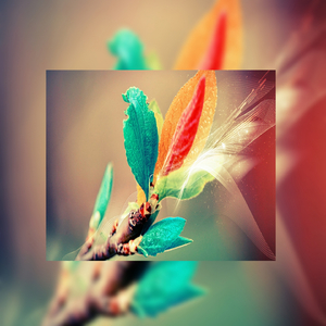 国产农村乡下特黄A片
